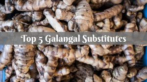 Top 5 Galangal Substitutes