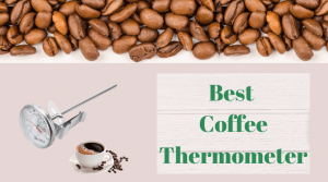 Best Coffee Thermometer