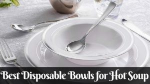 Best Disposable Bowls for Hot Soup