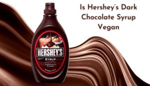 Is Hershey’s Dark Chocolate Syrup Vegan