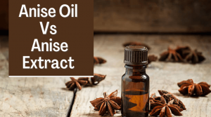 Anise Oil Vs Anise Extract